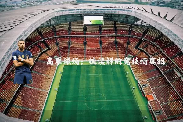 高原球场：被误解的竞技场真相